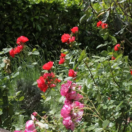 2327c Mošćenička Draga