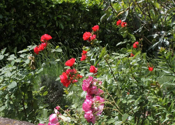 2327c Moscenicka Draga